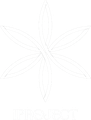 iProject